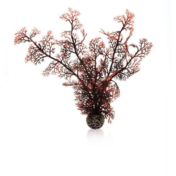 Oase Living Water biOrb Corail M couleurs d'automne 822728005330 46071