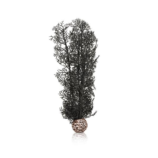 Oase Living Water biOrb Corail M noir 822728007631 Destockage46097