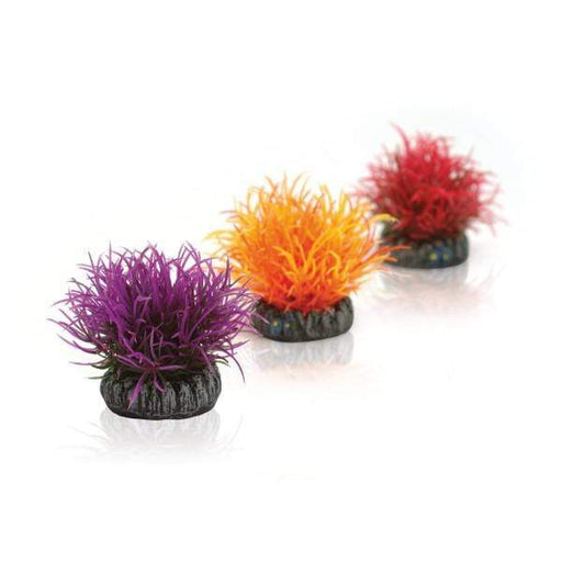 Oase Living Water biOrb Set de 3 boules colorées 822728002964 46061