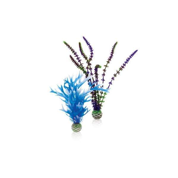 Oase Living Water biOrb Set de plantes M bleues&violettes 822728002933 46059
