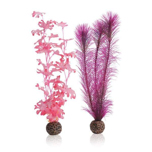 Oase Living Water biOrb Set de plantes M roses 822728006016 46082