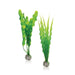 Oase Living Water biOrb Set de plantes M vertes 822728002162 46056