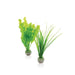 Oase Living Water biOrb Set de plantes S vertes 822728002155 46055