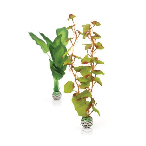 Oase Living Water biOrb Set plantes soyeuses M vertes Detockage46100