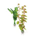 Oase Living Water biOrb Set plantes soyeuses M vertes Detockage46100