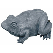 Oase Living Water Gargouilles Gargouille Grenouille - Cracheur pour petit jeu d'eau - Oase 4010052367743 36774