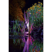 Oase Living Water Eclairages pour étang ProxiLux Garden LED RVB - Spots de haute qualité connecté - Oase 4010052426389 42638
