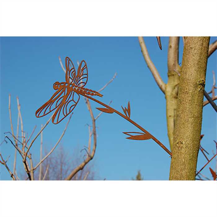 Ombre Sauvage Décoration LIBELLULE - OMBRE SAUVAGE 2018OS02