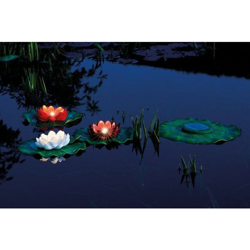Pontec Eclairages pour étang PondoSolar Lily LED Set 3 - Nénuphars flottants en plastique avec trois LEDs intégrées - Pontec 77940