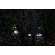 Pontec Eclairages pour étang PondoStar LED Rocklight Set 3- Spots en petits rochers pour petit bassin - Pontec 4010052369723 87585