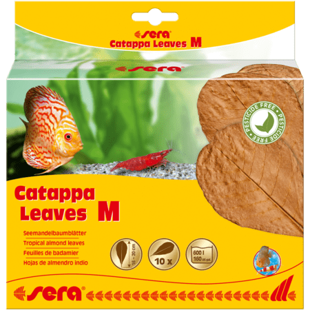 Sera Sera Catappa Leaves M - Feuilles de badamier 4001942452441 32274