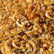 Sera Nourriture SERA RAFFY I 1000ML - 130G NOURRITURE POUR TORTUES D'EAU 4001942017701 01770