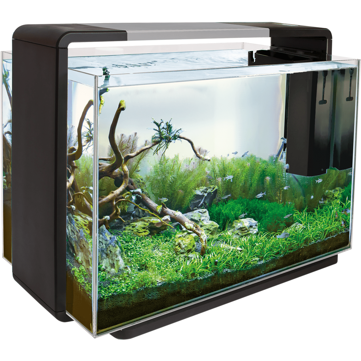 SuperFish Minuterie d'extérieur - Minuterie numérique pour bassin/aquarium  - Pour la mise à la terre belge