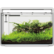 Superfish Aquariums Aquarium Home 65 Blanc - 60L - Superfish 8715897314315 A4051580