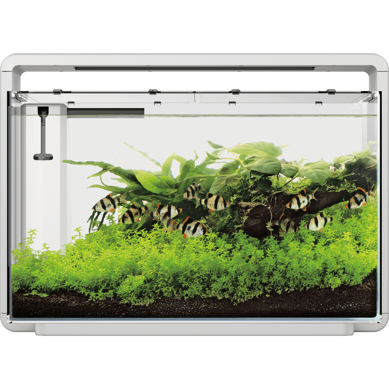 Superfish Aquariums Aquarium Home 65 Blanc - 60L - Superfish 8715897314315 A4051580