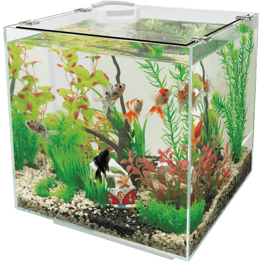 Superfish Aquariums Aquarium QubiQ 30 Blanc - 30L - Superfish 8715897038976 A4050825