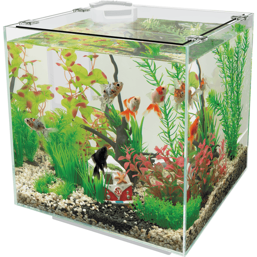 Superfish Aquariums Aquarium QubiQ 30 Noir - 30L - Superfish 8715897038976 A4050825