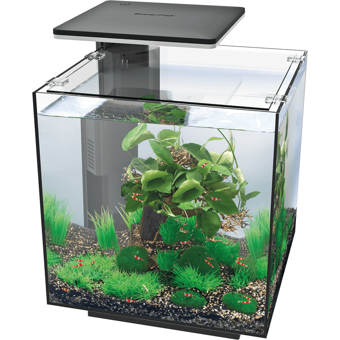 Aquarium QubiQ 30 PRO Noir - 30L - Superfish —