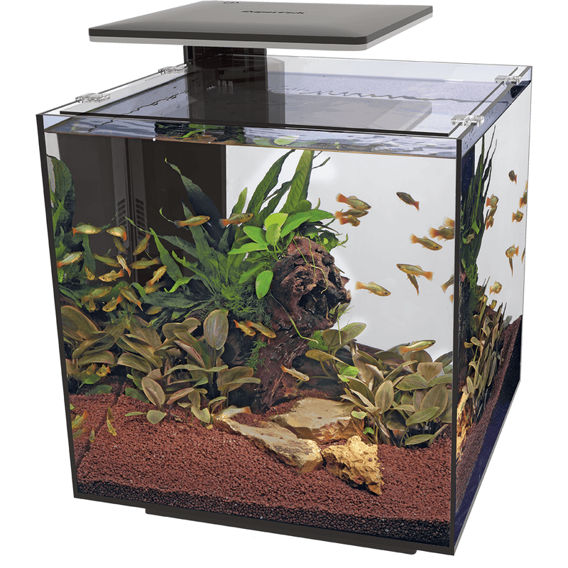 Superfish Aquariums Aquarium QubiQ 60 PRO Noir - 60L - Superfish 8715897312946 A4050905