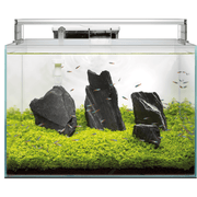 Superfish Aquariums Aquarium Scaper 45 - 45L - Superfish 8715897312489 A4051800