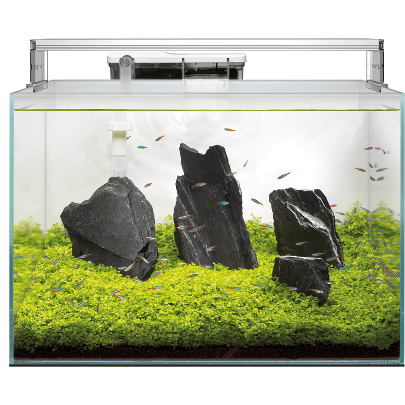 Superfish Aquariums Aquarium Scaper 45 - 45L - Superfish 8715897312489 A4051800