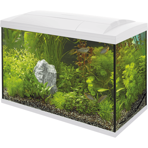 Superfish Aquariums Aquarium Start 100 Tropical Kit Blanc - 100L - Superfish 8715897166204 A4050297