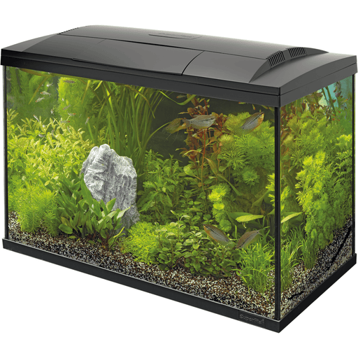 Superfish Aquariums Aquarium Start 100 Tropical Kit Noir - 100L - Superfish 8715897165979 A4050295