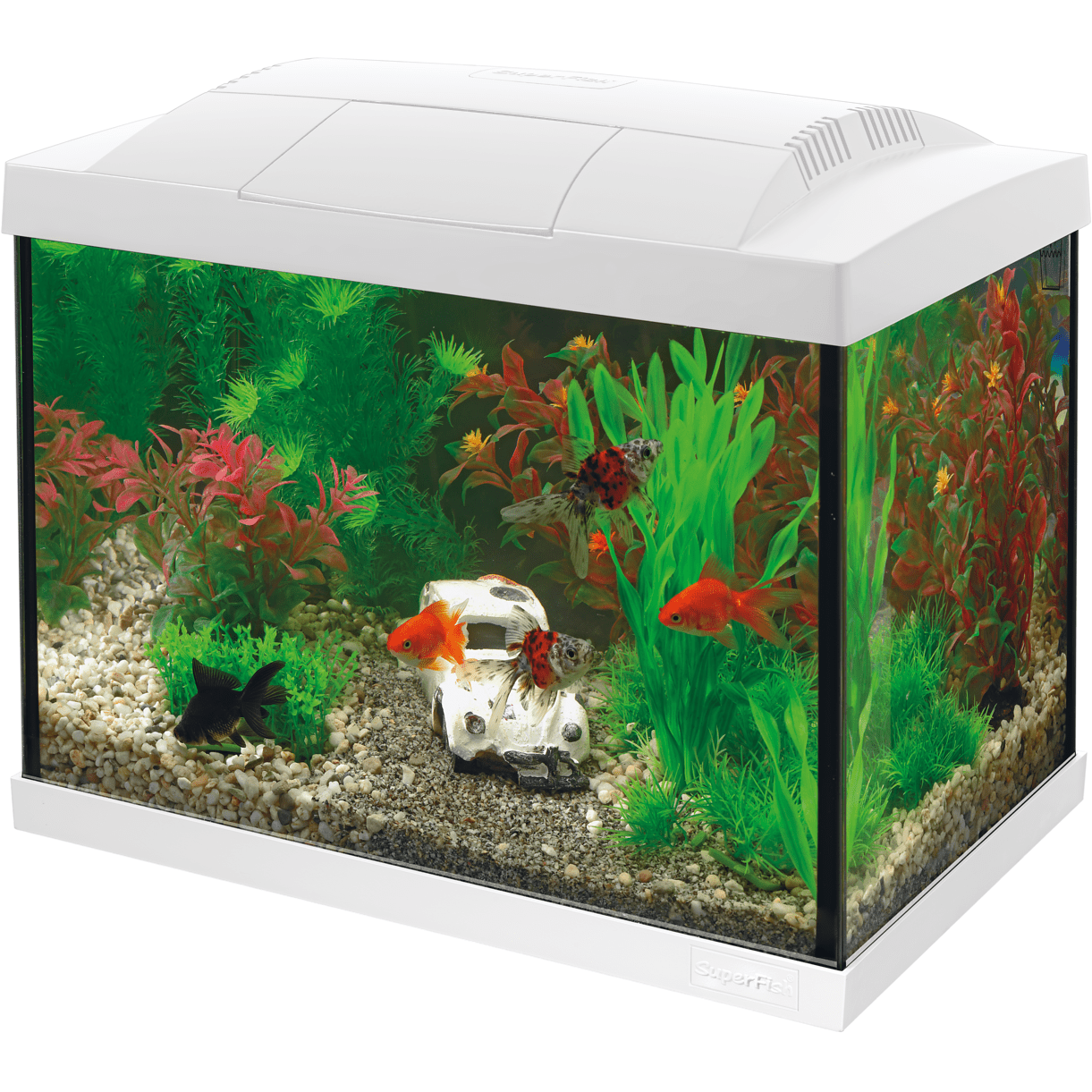 Complete Aquarium Kit