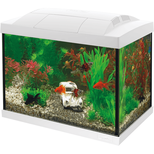 Superfish Aquariums Aquarium Start 20 Goldfish Kit Blanc - 20L - Superfish 8715897190773 A4050269