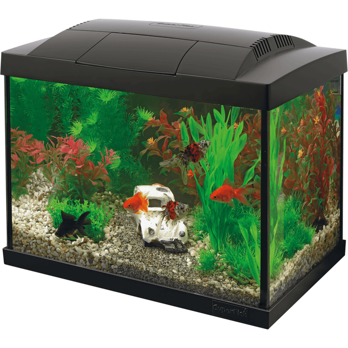 Aquarium Start 20 Goldfish Kit Black - 20L - — FOUDEBASSIN.COM