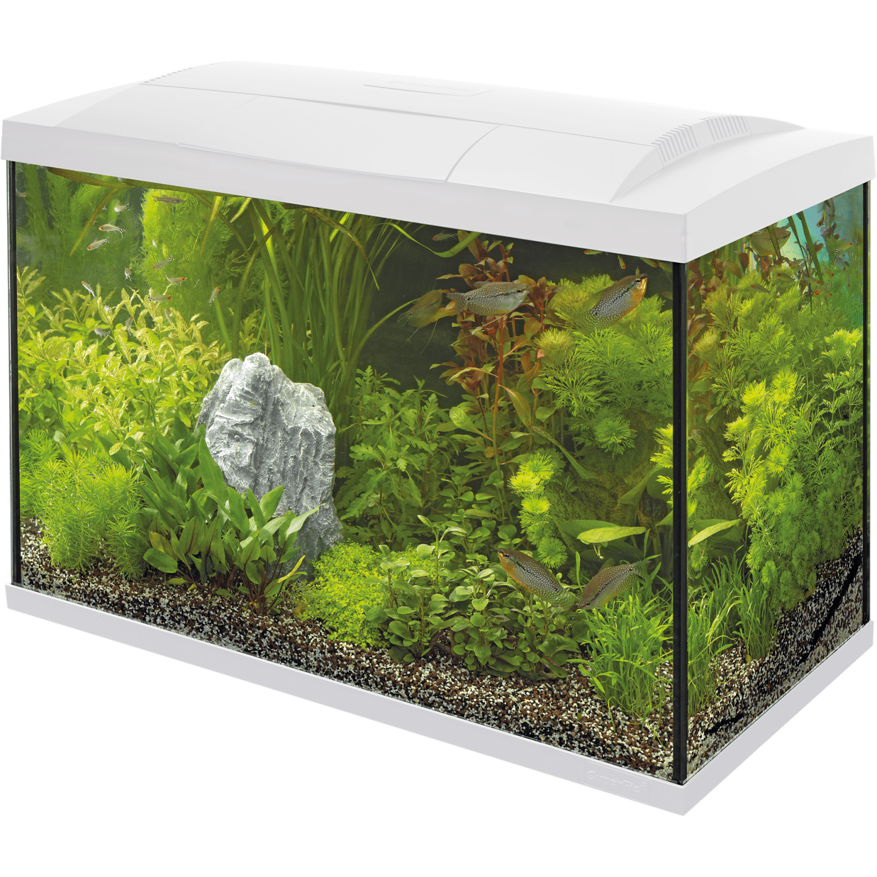 Aquarium Start 70 Tropical Kit Blanc - 60L - Superfish