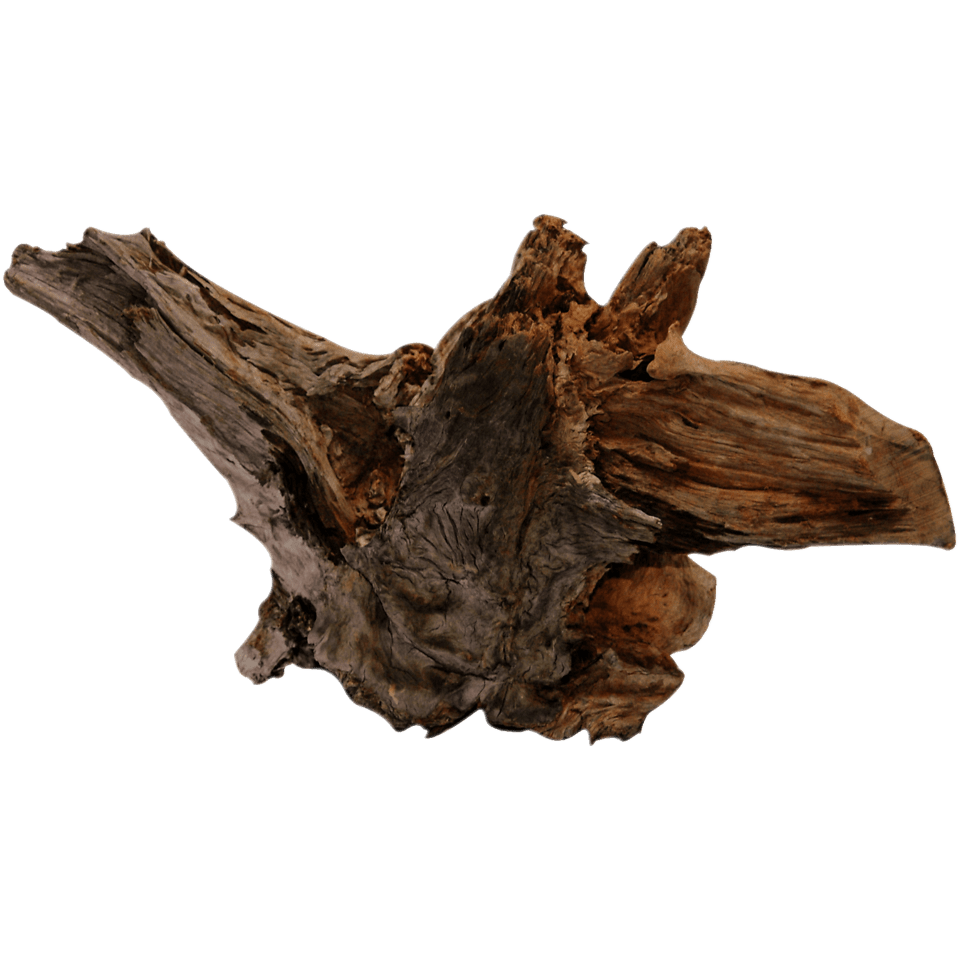 Racines pour aquariums