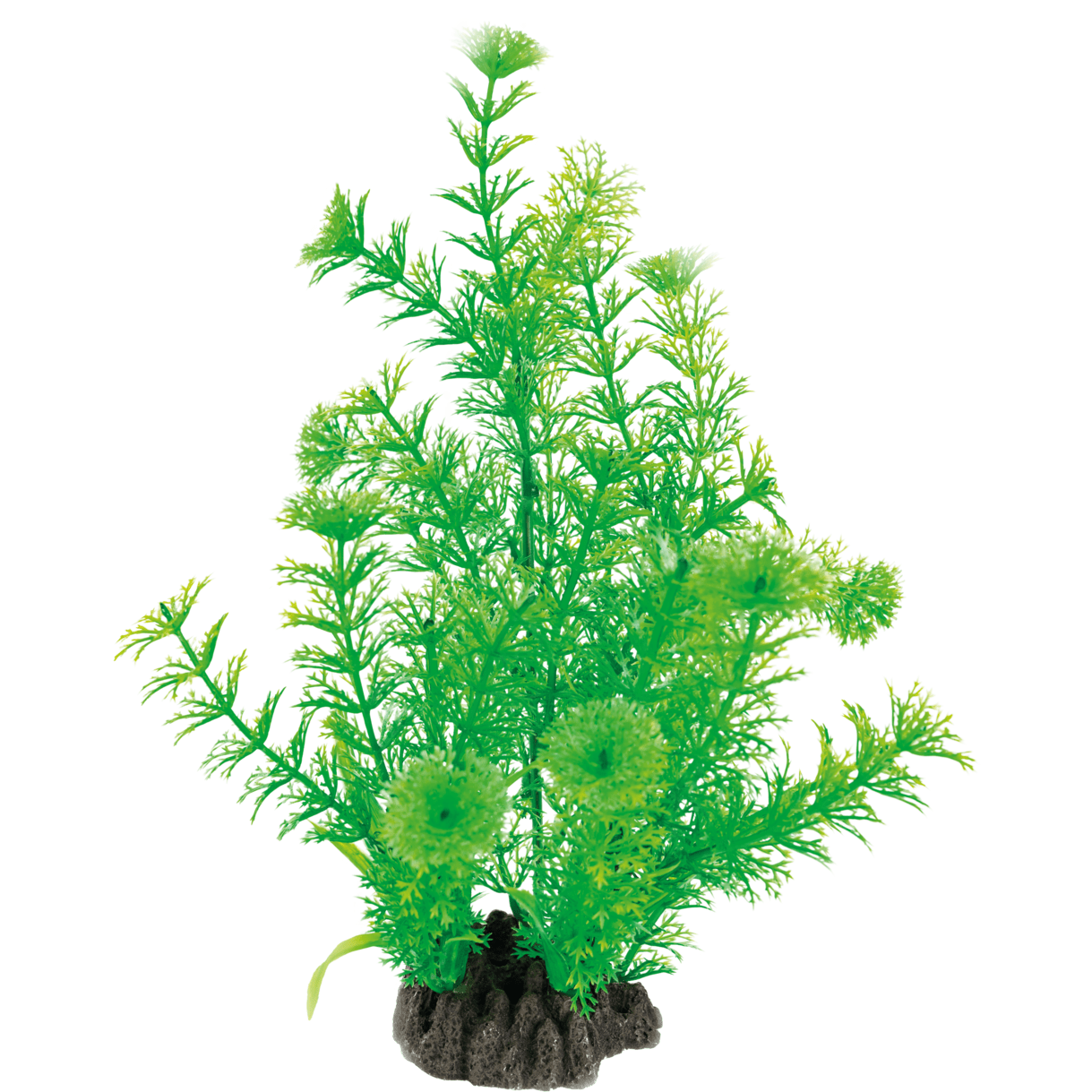 Superfish decoration