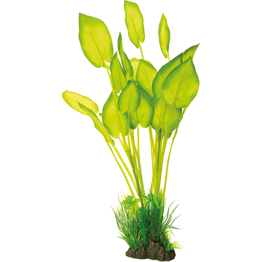 Superfish SF Art Plant Echinodorus (40cm) 8715897320064 A4070875