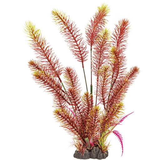 Superfish SF Art Plant Myriophyllum Red (40cm) 8715897320118 A4070900