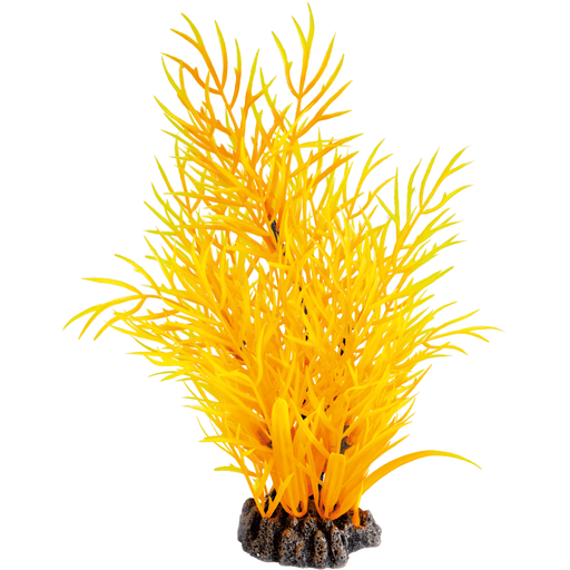Superfish SF Art Plant Orange (25cm) 8715897319990 A4070840