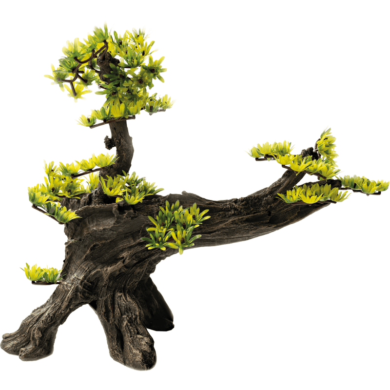 Superfish SF Deco Bonsai L 8715897319877 A4080315