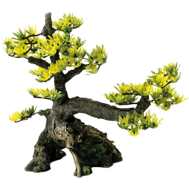 Superfish SF Deco Bonsai M 8715897319860 A4080310