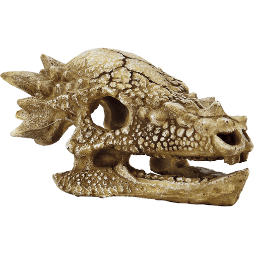 Superfish SF Deco Crâne de T-Rex M 8715897291166 A4021320