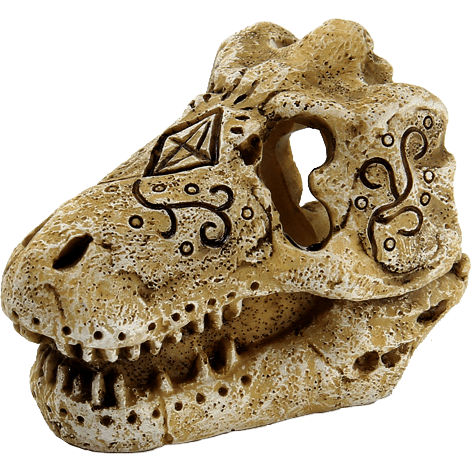 Superfish SF Deco Crâne de T-Rex S 8715897291135 A4021305