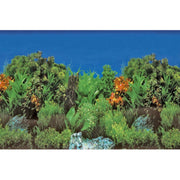 Superfish Poster d'aquarium SF Deco Posters B2 Roches,Plantes 60X49 Cm 8715897291586 A4072040