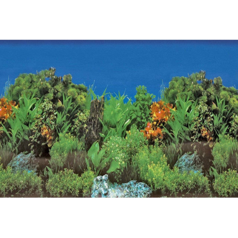 Superfish Poster d'aquarium SF Deco Posters B2 Roches,Plantes 60X49 Cm 8715897291586 A4072040