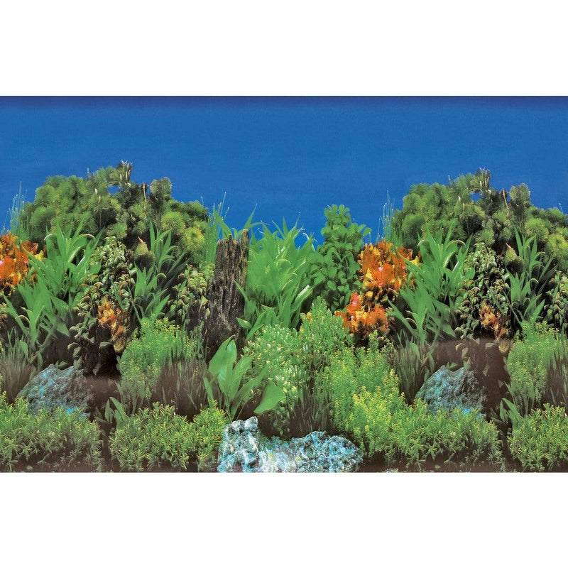 Superfish Poster d'aquarium SF Deco Posters B6 Roches,Plantes 150X61 Cm 8715897291623 A4072060