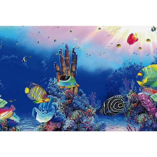 Superfish Poster d'aquarium SF Deco Posters F1 Poissons dans récif 60X30 Cm 8715897291814 A4072155