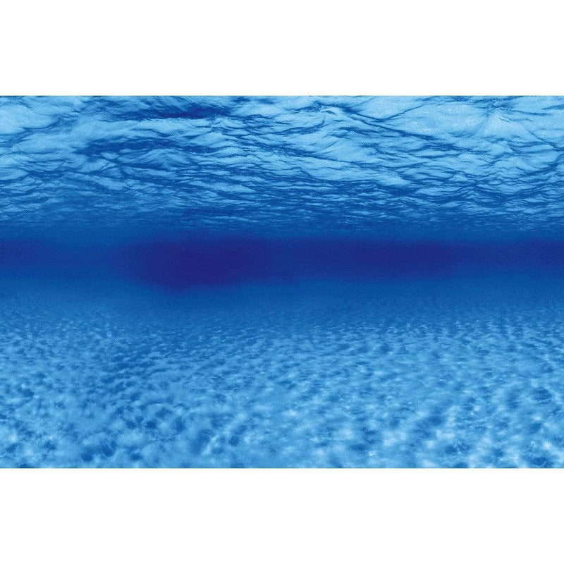 Superfish Poster d'aquarium SF Deco Posters F3 Poissons dans récif 100X49 Cm 8715897291838 A4072165