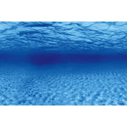 Superfish Poster d'aquarium SF Deco Posters F6 Poissons dans récif 150X61 Cm 8715897311208 A4072180