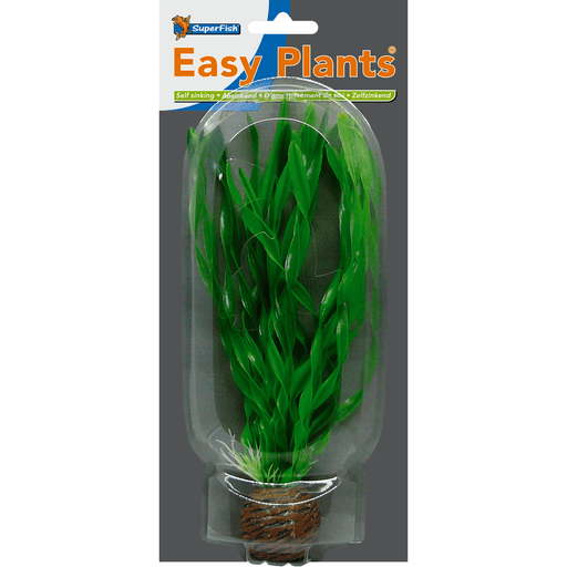 Superfish SF Easy Plante moyenne N°1 (20cm) 8715897164941 A4070215