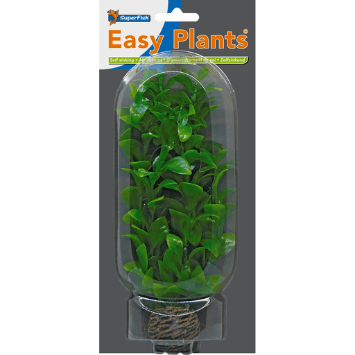 Superfish SF Easy Plante moyenne N°2 (20cm) 8715897164958 A4070220