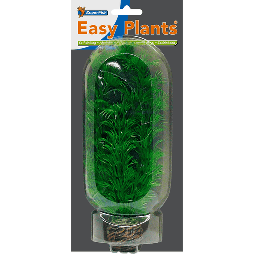 Superfish SF Easy Plante moyenne N°4 (20cm) 8715897164972 A4070230