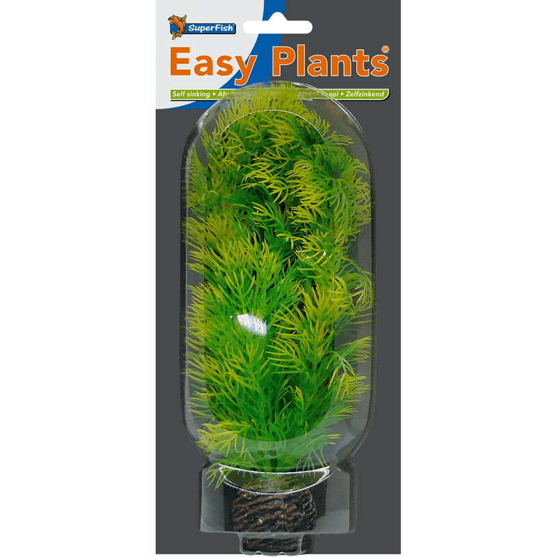 Superfish SF Easy Plante moyenne N°5 (20cm) 8715897164989 A4070235
